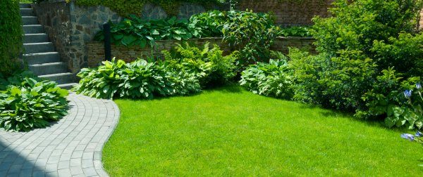 Freshly landscaped garden and lawn maintained by Advanced Landscaping and Design